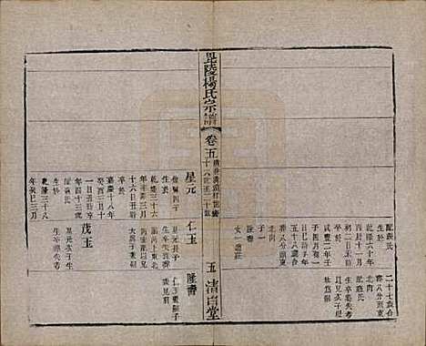 中国[杨姓] 杨氏宗谱八卷 — 清同治十二年（1873）_五.pdf