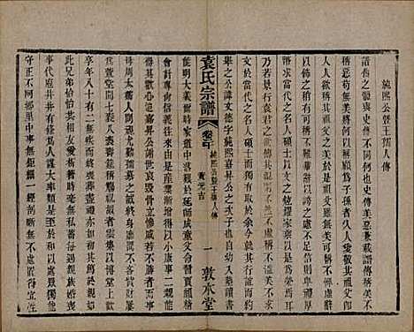 江苏[袁姓] 吴门袁氏家谱 — 民国八年(1919)_二十.pdf