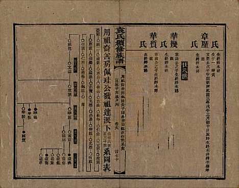 湖南[袁姓] 袁氏成户七修族谱 — 民国三十七年（1948）_十二.pdf