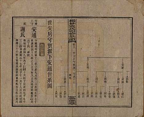 湖南[袁姓] 杨林袁氏四修族谱 — 民国三十一年（1942）_八.pdf