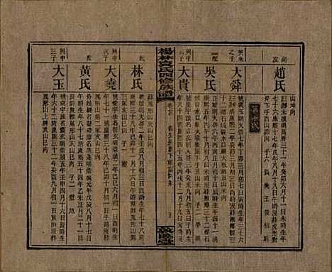 湖南[袁姓] 杨林袁氏四修族谱 — 民国三十一年（1942）_二十四.pdf