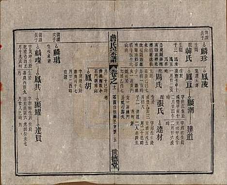 安徽[詹姓] 詹氏宗谱 — 民国10年[1921]_十一.pdf