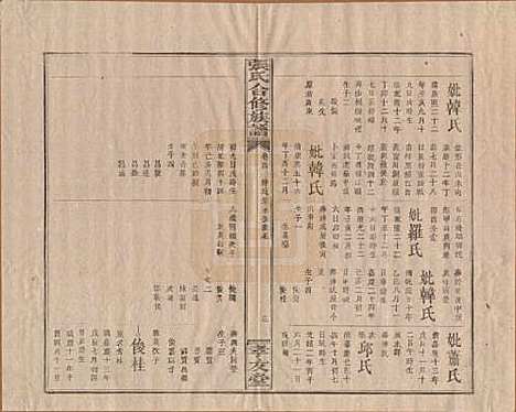 福建[张姓] 张氏合修族谱 — 民国三年(1914)_四.pdf