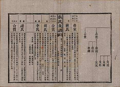 湖南[张姓] 张氏庆云公房支谱 — 民国三十八年(1949)_七.pdf