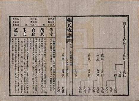 湖南[张姓] 张氏庆云公房支谱 — 民国三十八年(1949)_九.pdf