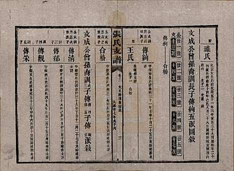 湖南[张姓] 张氏庆云公房支谱 — 民国三十八年(1949)_十二.pdf