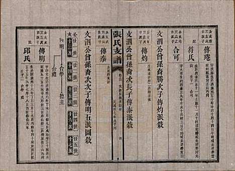 湖南[张姓] 张氏庆云公房支谱 — 民国三十八年(1949)_十三.pdf