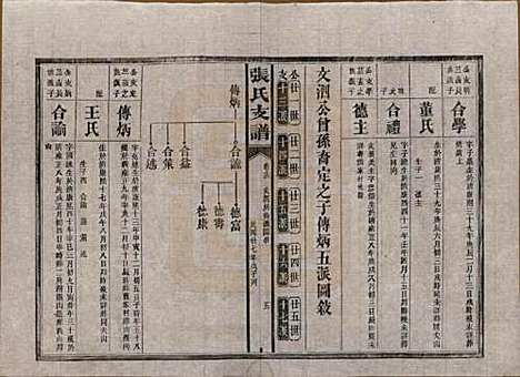 湖南[张姓] 张氏庆云公房支谱 — 民国三十八年(1949)_十三.pdf