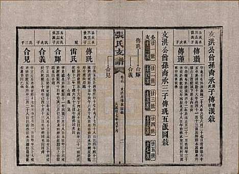 湖南[张姓] 张氏庆云公房支谱 — 民国三十八年(1949)_十四.pdf