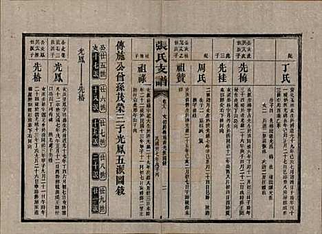 湖南[张姓] 张氏庆云公房支谱 — 民国三十八年(1949)_十八.pdf