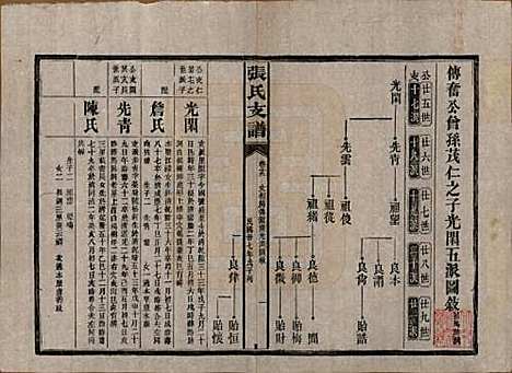 湖南[张姓] 张氏庆云公房支谱 — 民国三十八年(1949)_十九.pdf