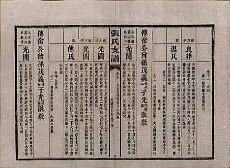 湖南[张姓] 张氏庆云公房支谱 — 民国三十八年(1949)_十九.pdf