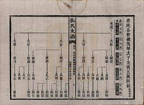 湖南[张姓] 张氏庆云公房支谱 — 民国三十八年(1949)_二十.pdf