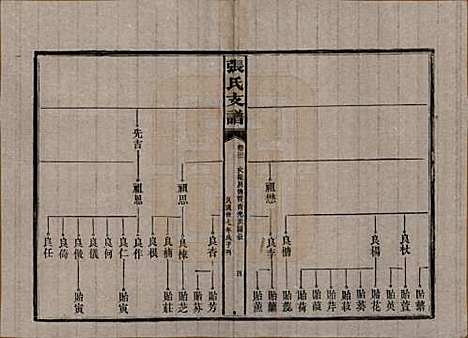 湖南[张姓] 张氏庆云公房支谱 — 民国三十八年(1949)_二十一.pdf