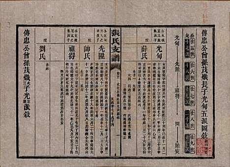 湖南[张姓] 张氏庆云公房支谱 — 民国三十八年(1949)_二十二.pdf