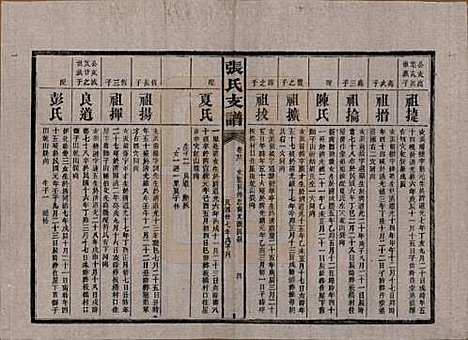 湖南[张姓] 张氏庆云公房支谱 — 民国三十八年(1949)_二十二.pdf