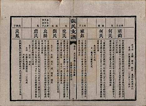 湖南[张姓] 张氏庆云公房支谱 — 民国三十八年(1949)_二十四.pdf