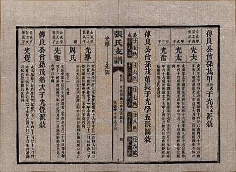 湖南[张姓] 张氏庆云公房支谱 — 民国三十八年(1949)_二十四.pdf