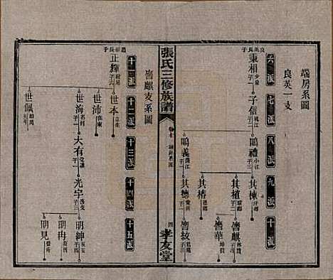 湖南[张姓] 张氏三修族谱 — 民国三十七年（1948）_八.pdf