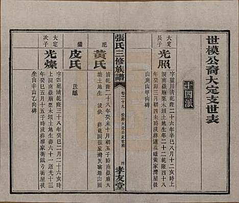 湖南[张姓] 张氏三修族谱 — 民国三十七年（1948）_十九.pdf