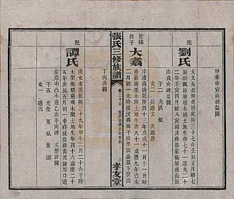 湖南[张姓] 张氏三修族谱 — 民国三十七年（1948）_二十五.pdf