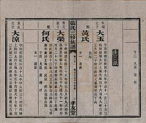 湖南[张姓] 张氏三修族谱 — 民国三十七年（1948）_三十一.pdf