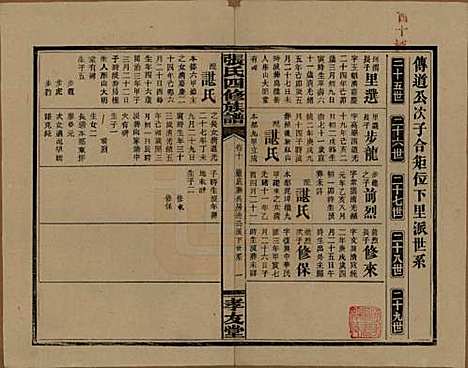 湖南[张姓] 张氏四修族谱 — 民国三十三年(1944)_十.pdf