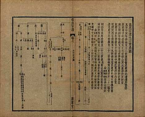 中国[张姓] 张氏宗谱二十六卷 — 清光绪二十年（1894）_七.pdf