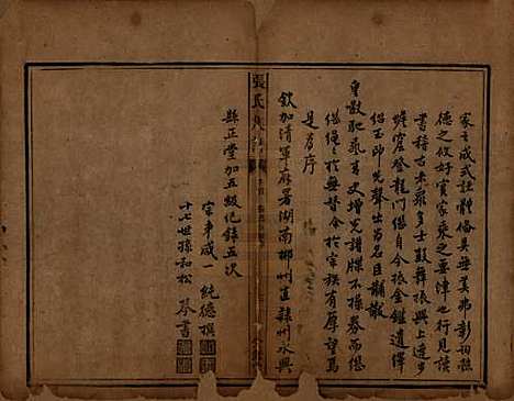 湖南[张姓] 张氏族谱十二卷首一卷 — 清咸丰十一年（1861）_一.pdf