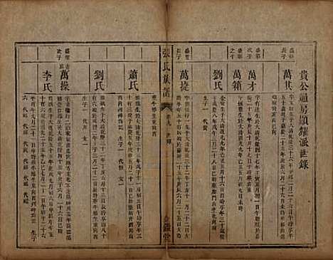 湖南[张姓] 张氏族谱十二卷首一卷 — 清咸丰十一年（1861）_九.pdf