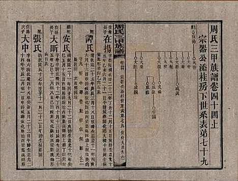 湖南[周姓] 周氏三甲四修族谱 — 民国19年[1930]_四十四.pdf