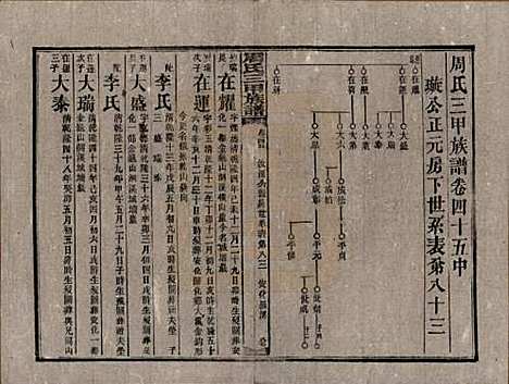 湖南[周姓] 周氏三甲四修族谱 — 民国19年[1930]_四十五.pdf