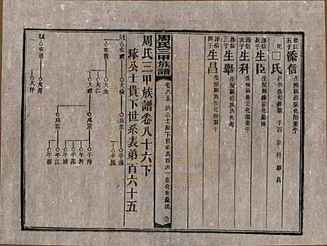 湖南[周姓] 周氏三甲四修族谱 — 民国19年[1930]_八十六.pdf