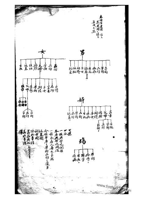 【当湖王氏家谱】不分卷（平湖家谱）_N1532.pdf