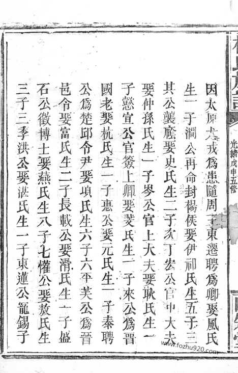 【杨氏族谱】（岳阳家谱）_N2166.pdf