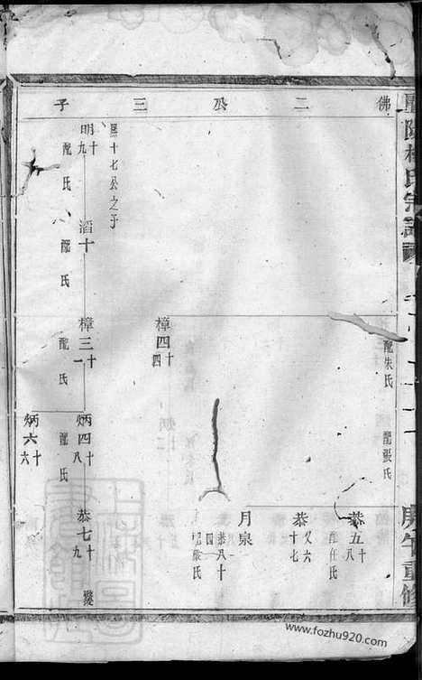 【暨阳杨氏宗谱】_N2291.pdf