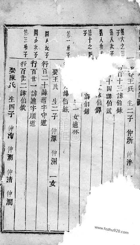 【白麟溪义门郑氏宗谱】不分卷（浦阳家谱）_N2865.pdf