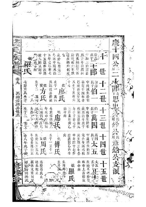 【蓝氏族谱】（岳阳家谱）_N3978.pdf