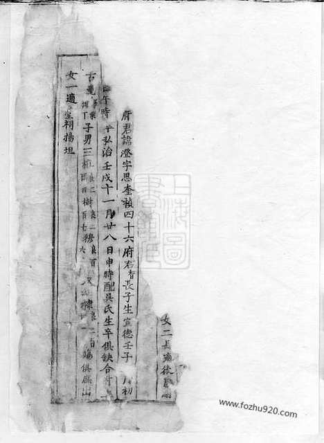 【芝英应氏宗谱】（永康家谱）_N4175.pdf