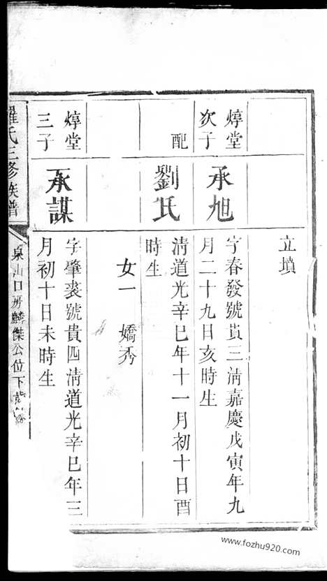 【罗氏三修族谱】_N4363.pdf