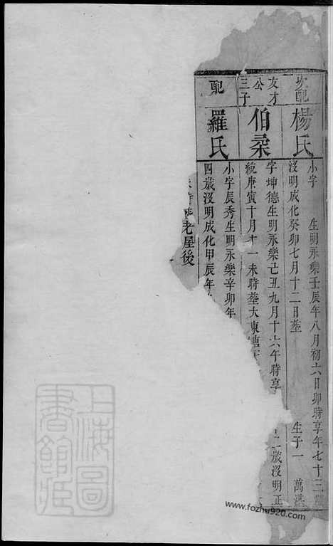 【唐氏续修族谱】（湘潭家谱）_N5387.pdf