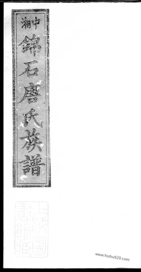 【中湘锦石唐氏四修族谱】（湘潭家谱）_N5390.pdf