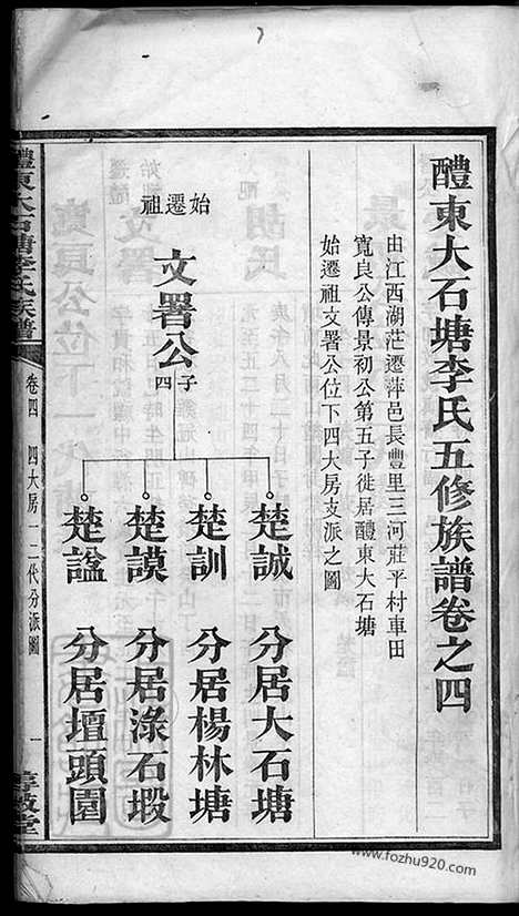 【醴东大石塘李氏五修族谱】（醴陵家谱）_N6207.pdf