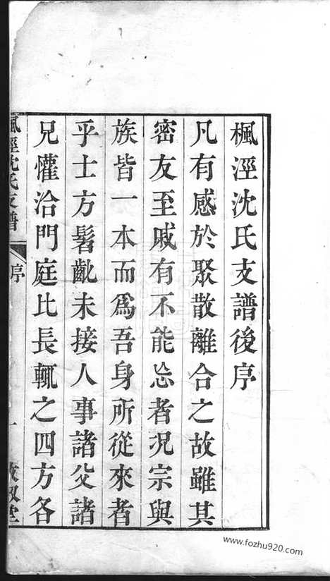 【枫泾沈氏支谱】不分卷（松江家谱）_N6810.pdf