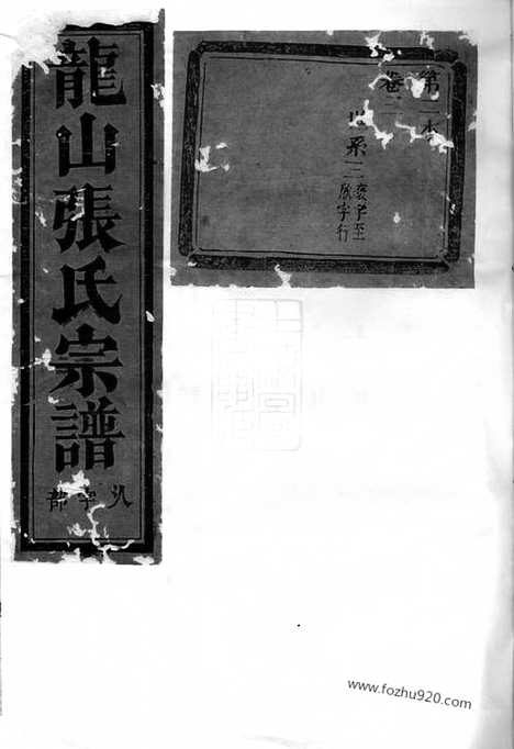 【龙山张氏宗谱】（金华家谱）_N7859.pdf