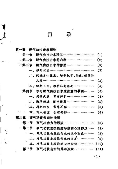 硬气功技击术.安在峰【硬气功技击术】