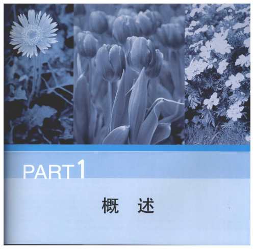 家居植物风水_刘海涛.pdf