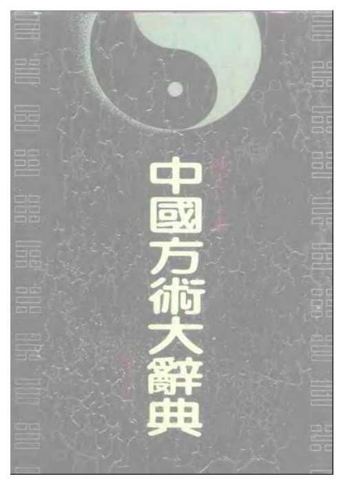 中国方术大辞典_陈永正.pdf