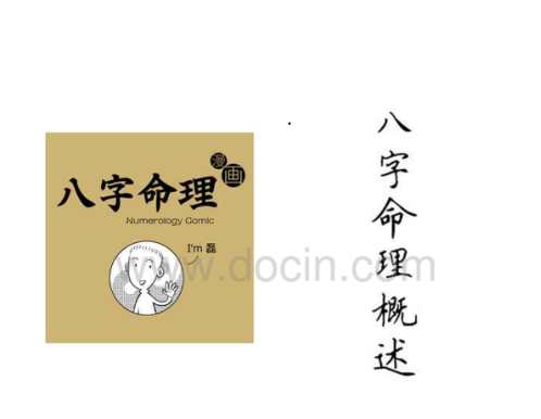 八字命理漫画.pdf