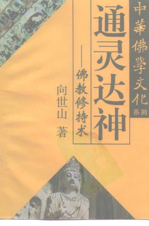 通灵达神—佛教修持术_向世山.pdf